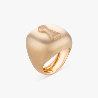 UNLOCK COURAGE RING